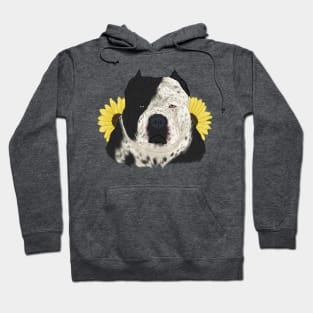 Ticked American Bully with Sunflowers Hoodie